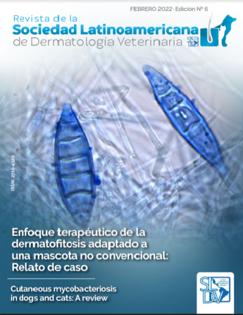 Revista Nº 6