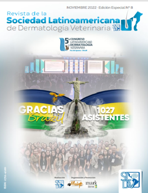 Revista N 8