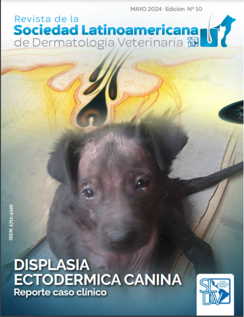 Revista N° 10