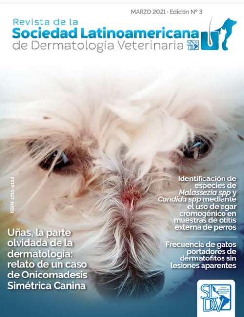 Revista Nº 3