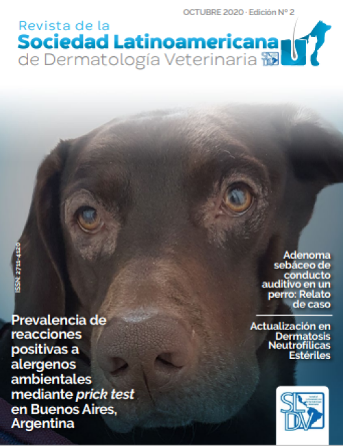 Revista Nº 2