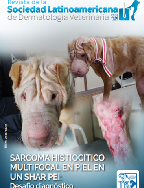 Revista Nº 11