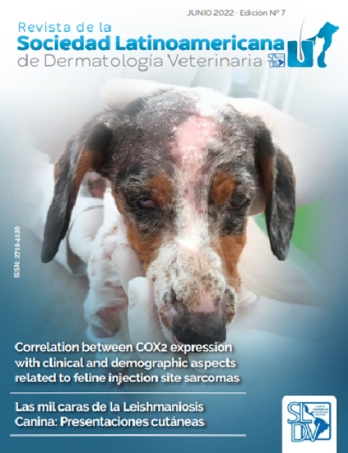 Revista Nº 7