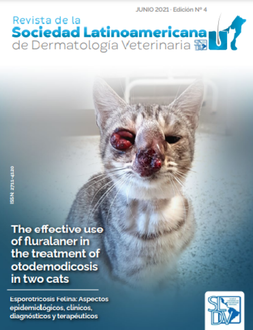 Revista Nº 4