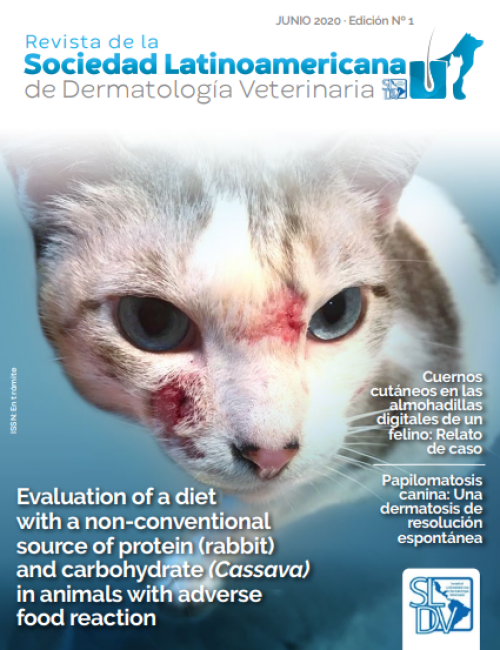 Revista Nº 1